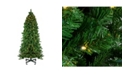 Northlight 7.5' Pre-Lit Olympia Pine Artificial Christmas Tree - Warm White LED Lights